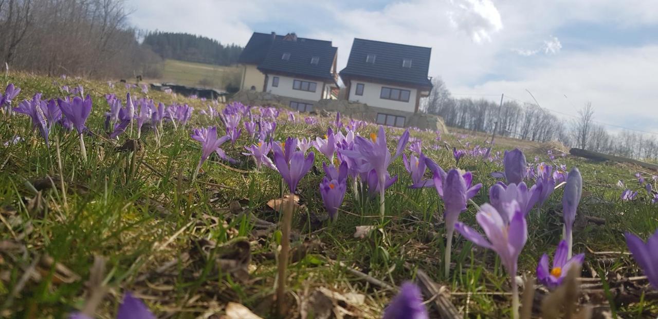 Nowinowe Domki Dzianisz Exteriér fotografie